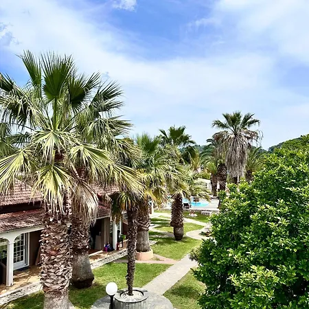 Abc Sweet סידריון