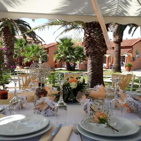 Abc Sweet סידריון