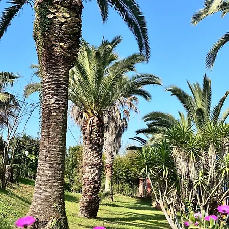 Abc Sweet Lägenhetshotell 3*